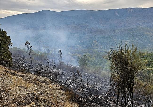 Espacio calcinado por las llamas en Sobrado.