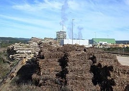 Acopios de madera junto a la planta de Forestalia de Cubillos del Sil, en una imagen de archivo.