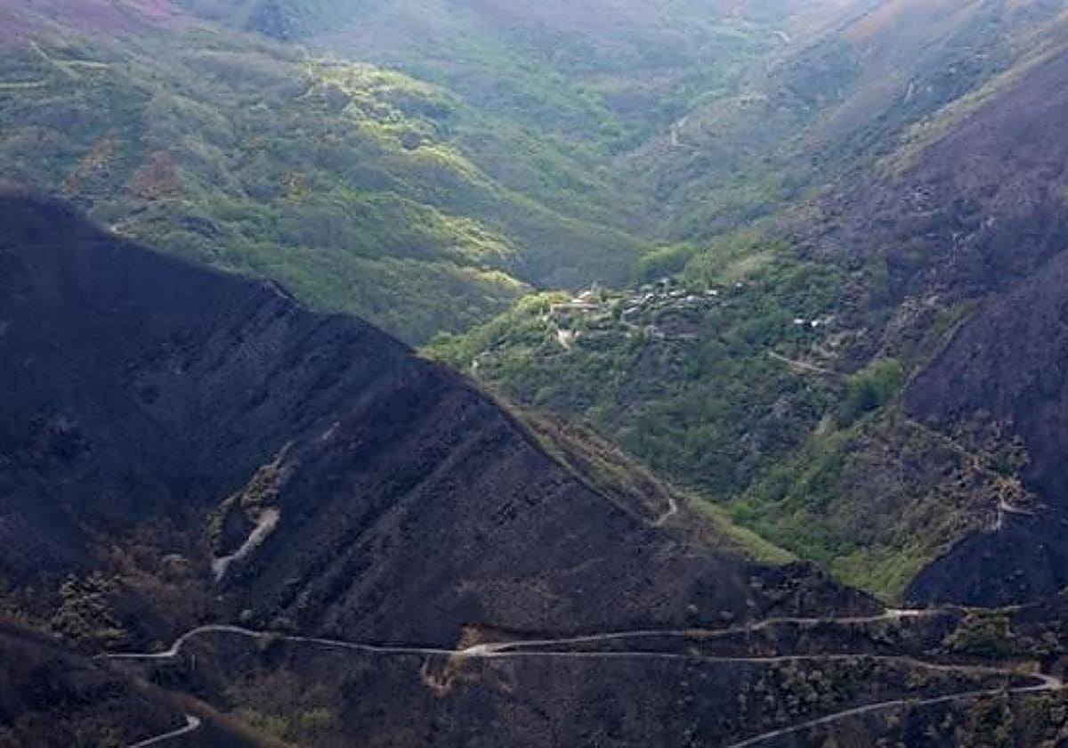 Imagen de los montes arrasados por el incendio en La Tebaida.