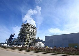 Planta de generación eléctrica mediante biomasa agroforestal de Forestalia ubicada en Cubillos del Sil.