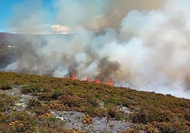 Imagen de archivo de un incendio en El Bierzo.