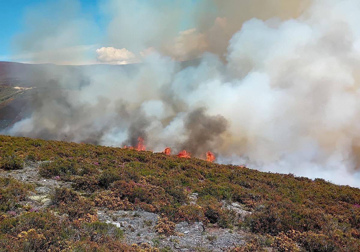 Imagen de archivo de un incendio en El Bierzo.