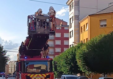 Los bomberos retiran un nido de avispas velutinas en el centro de Ponferrada