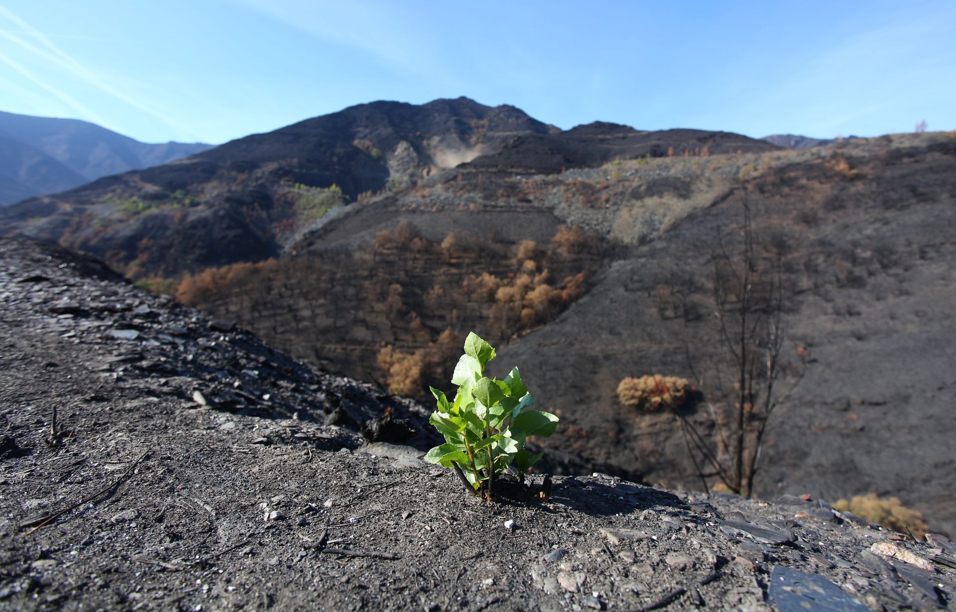 Trabajos de reconstrucción de la localidad de Lusio.