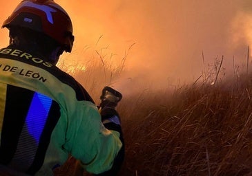 Un incendio agrícola en Matanza de los Oteros moviliza a los bomberos de la Diputación