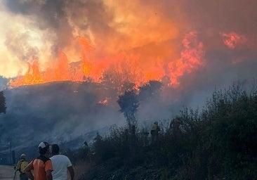 Abren diligencias para investigar a la Junta por «inacción» ante los incendios que arrasaron El Bierzo