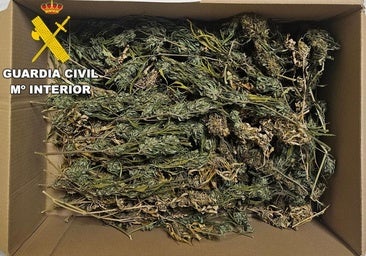 Investigado tras hallar en su vehículo 500 gramos de marihuana en Toral de los Vados