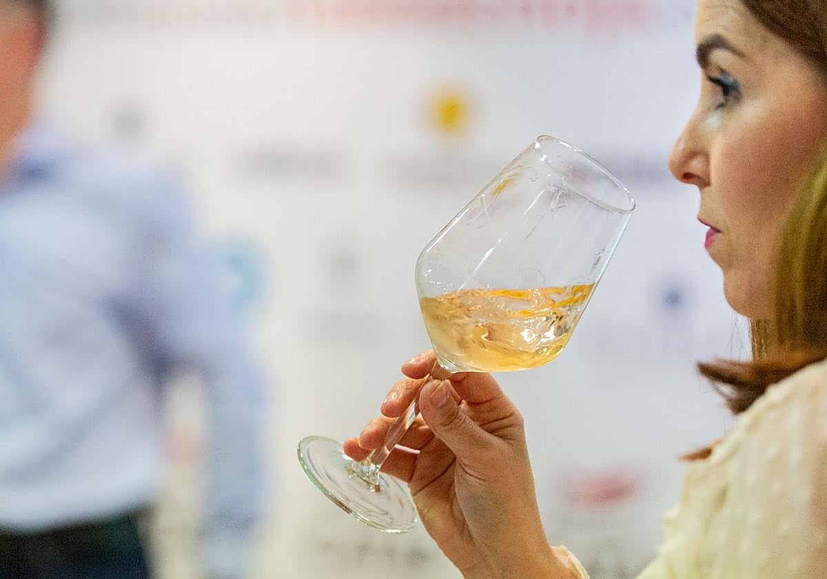 Imagen de archivo de una cata de vino.