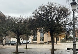 Imagen de la plaza del barrio ponferradino de La Placa, donde se realizará el encendido simbólico.