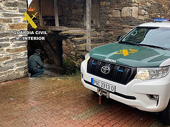 Investigan a una mujer por supuesto maltrato animal por envenenamiento de gatos en El Bierzo