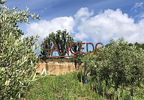 Imagen secundaria 1 - Alba Gancedo en el olivar situado junto al Camino de Santiago en Cacabelos de donde sale el aceite 'La Heredera'.