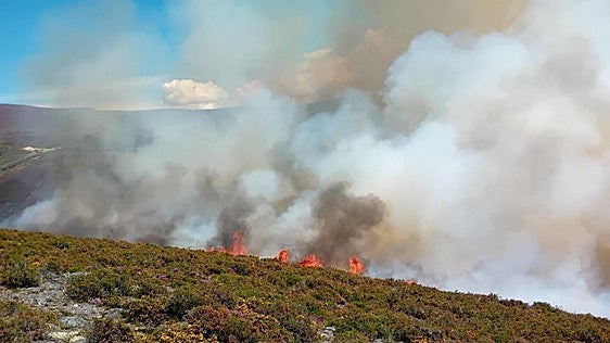 El Ayuntamiento de Palacios del Sil denuncia la «dejadez» de la Junta tras los incendios forestales del verano