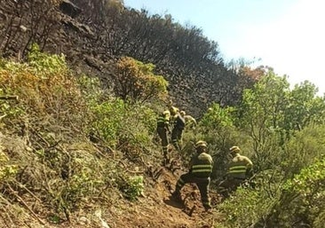 Los incendios no dan tregua en El Bierzo: siguen en nivel 1 los cuatro de Pradela, Congosto, Vega de Valcarce y San Vicente