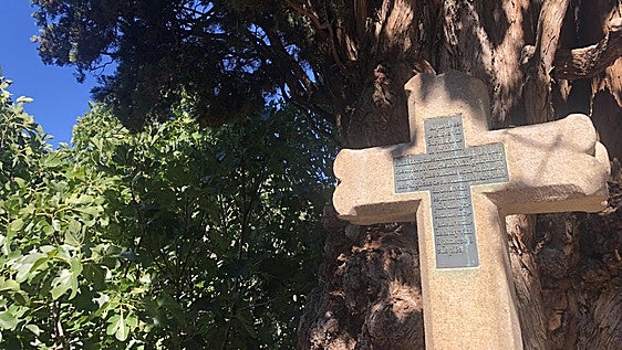 El árbol centenario que fue escenario de una visión sobrenatural