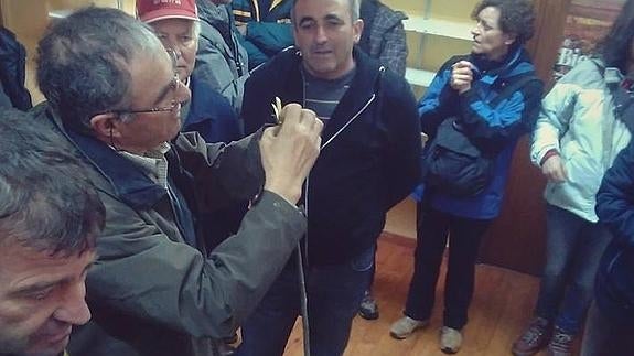El arte tradicional de injertar los castaños
