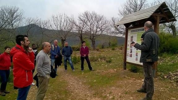 Las jornadas de la Semana Internacional del Campus del Bierzo se cierra con visita a plantaciones de castaños.
