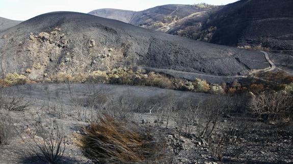 Superficie quemda en el último incendio que afectó al municipio de Fabero