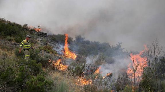 Incendio forestal en la comarca del Bierzo.