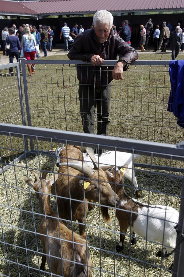 Feria de la Ascensión en Llanera