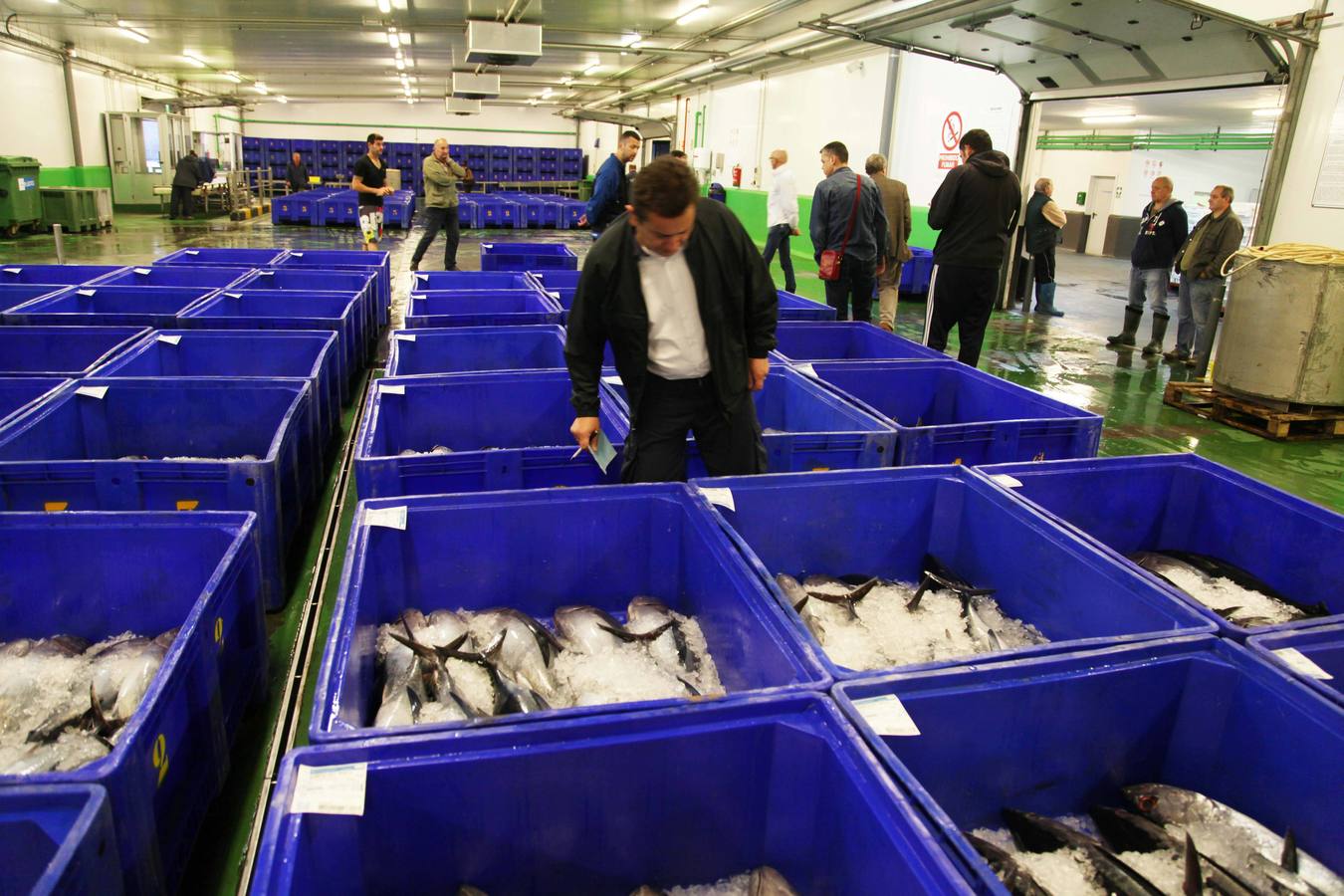 La rula de Avilés subasta 7.400 kilos de bonito