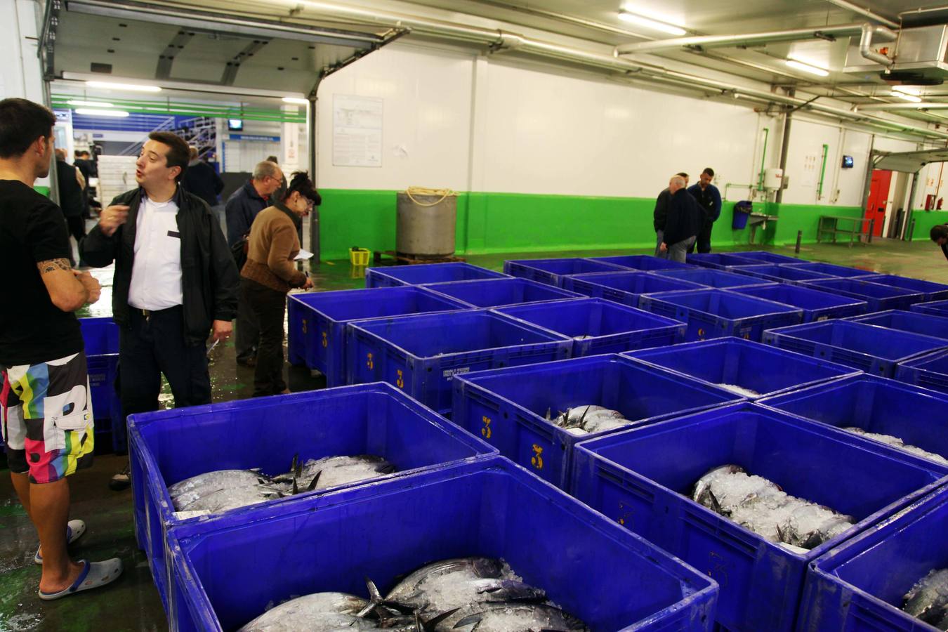 La rula de Avilés subasta 7.400 kilos de bonito