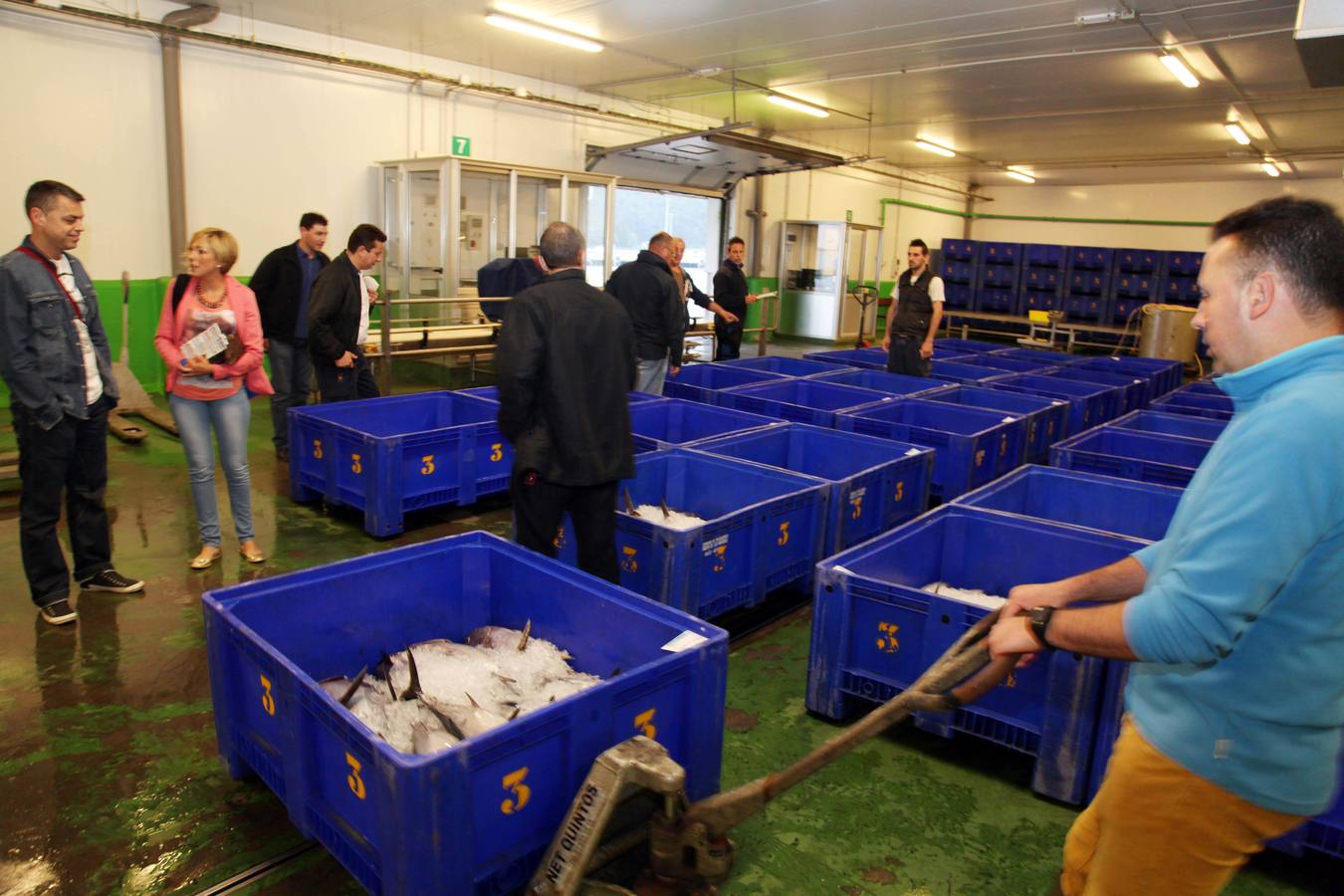 La rula de Avilés subasta 7.400 kilos de bonito