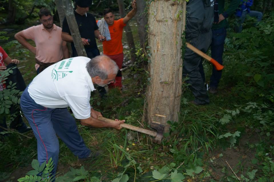 Cangas del Narcea planta el &#039;arbolón&#039;