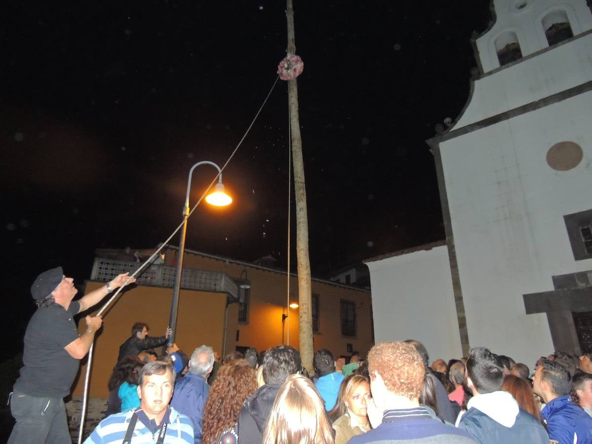 Cangas del Narcea planta el &#039;arbolón&#039;