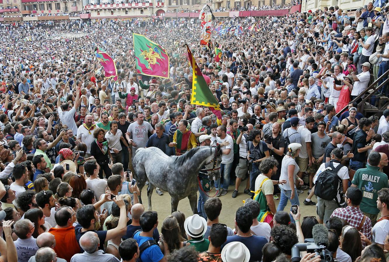 Palio de Siena, una carrera antigua, famosa y peligrosa