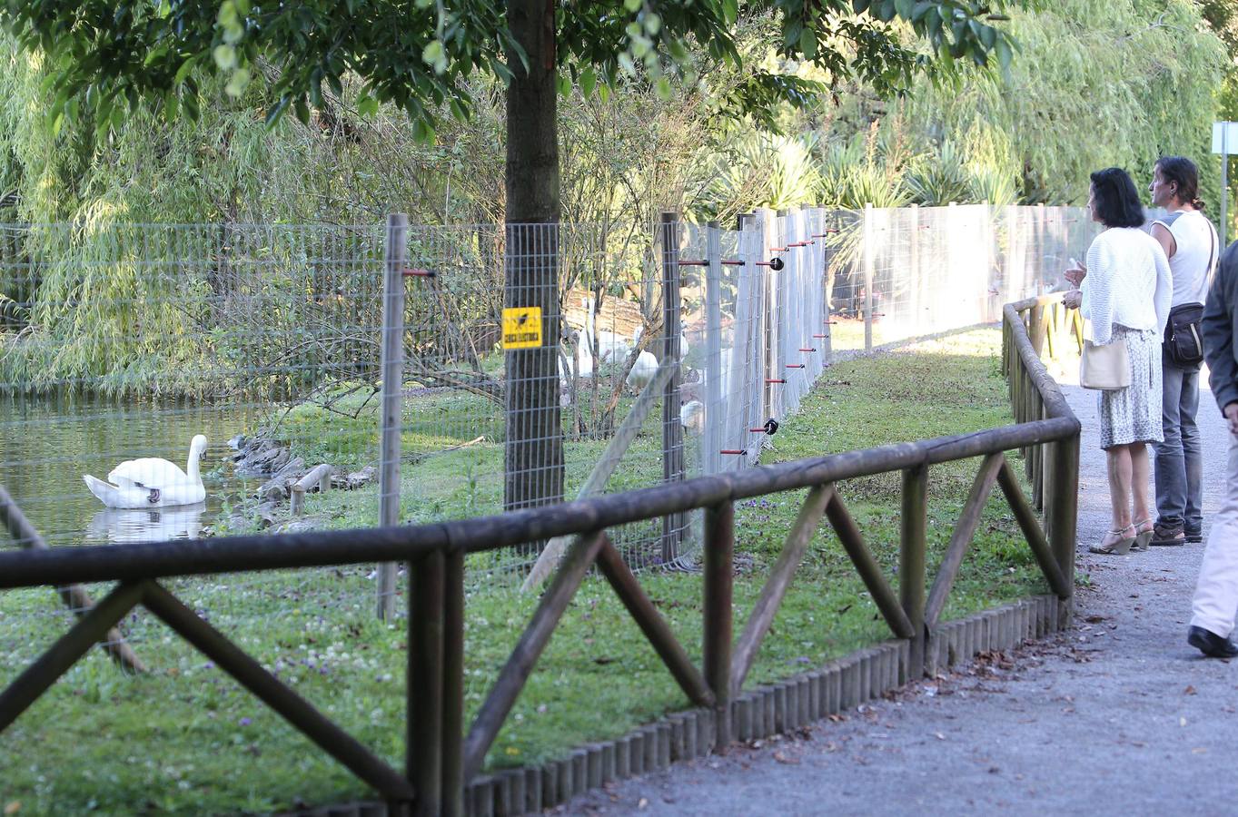 Así es el cercado del parque de Isabel la Católica