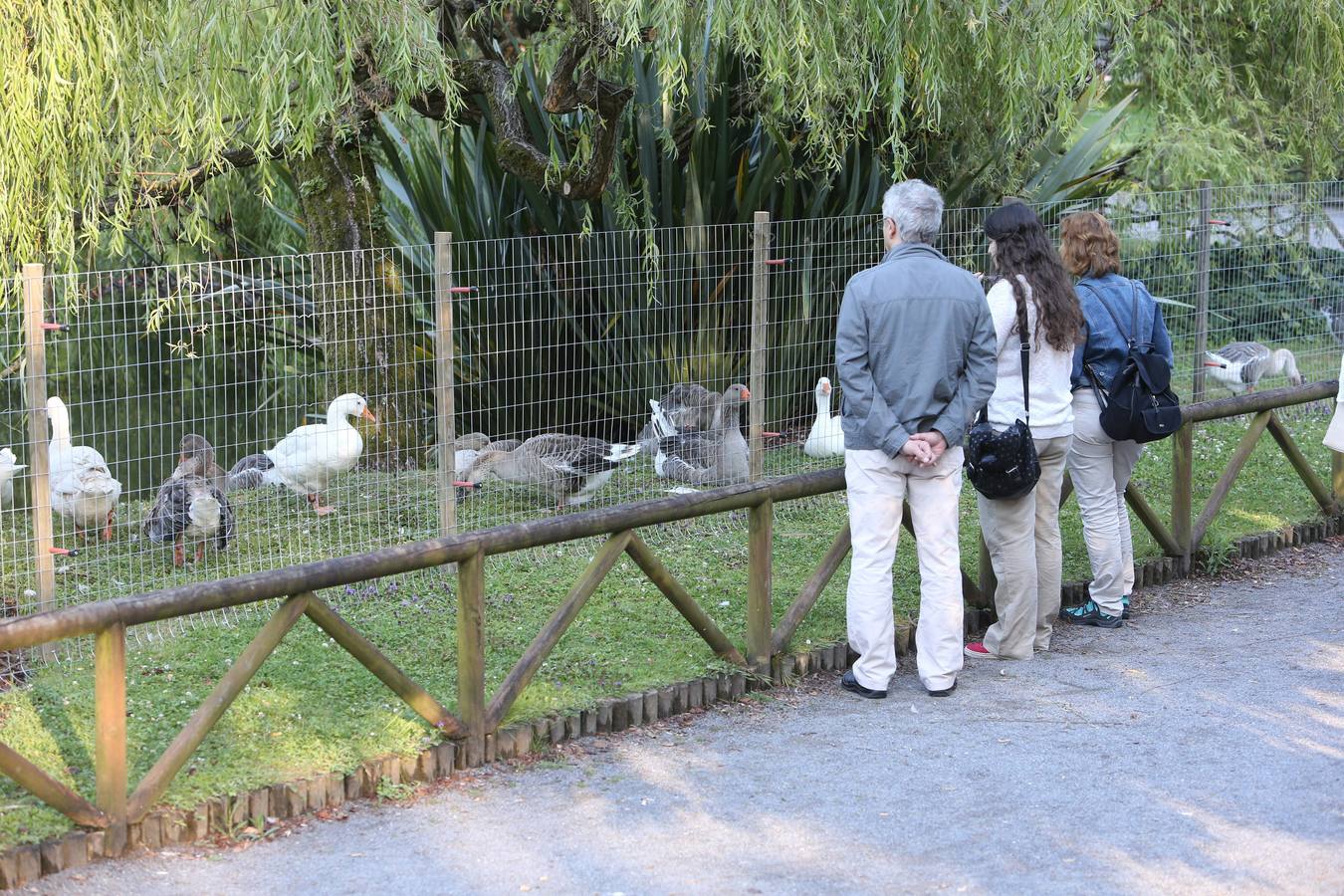 Así es el cercado del parque de Isabel la Católica