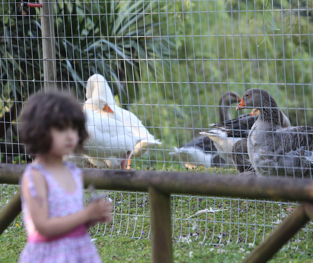 Así es el cercado del parque de Isabel la Católica