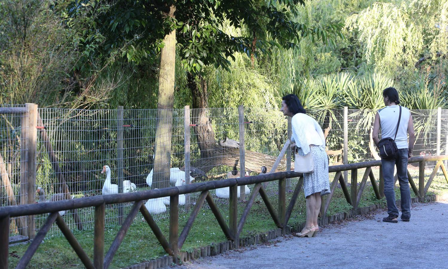 Así es el cercado del parque de Isabel la Católica