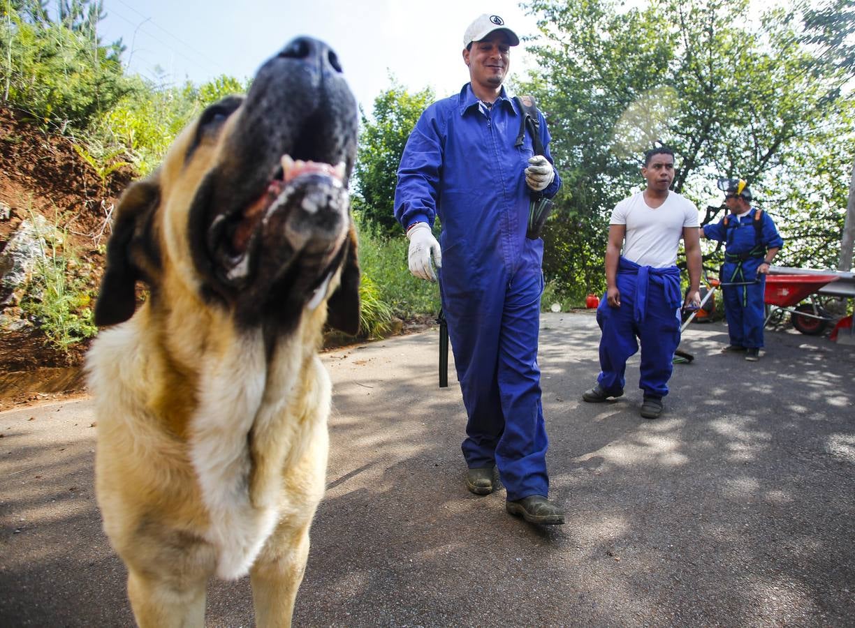 Presos con un trabajo
