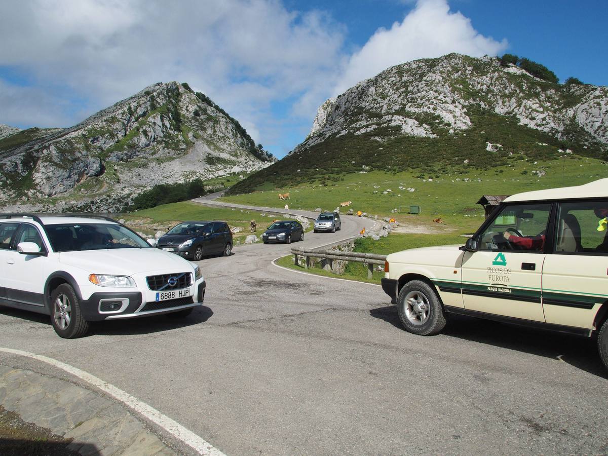 Colapso en la carretera a los Lagos de Covadonga