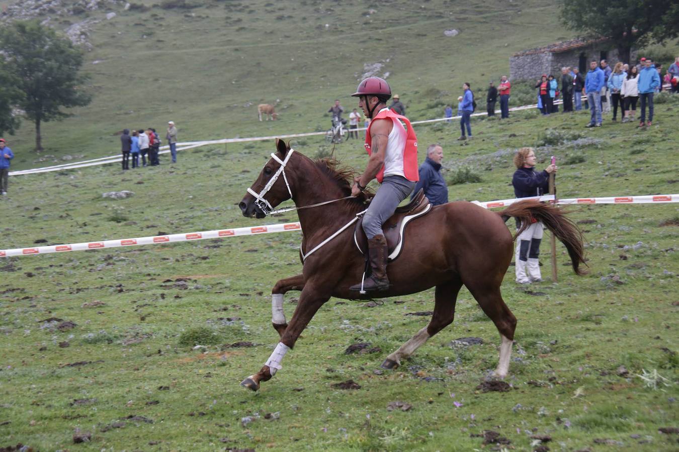 Fiesta del pastor en Los Lagos