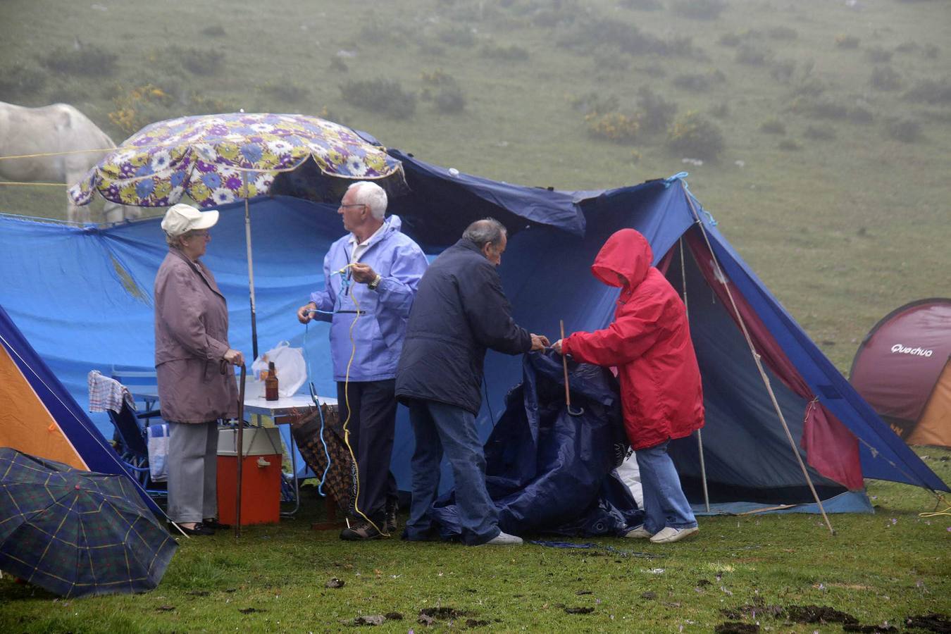 Fiesta del pastor en Los Lagos