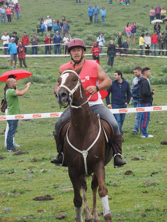 Fiesta del pastor en Los Lagos