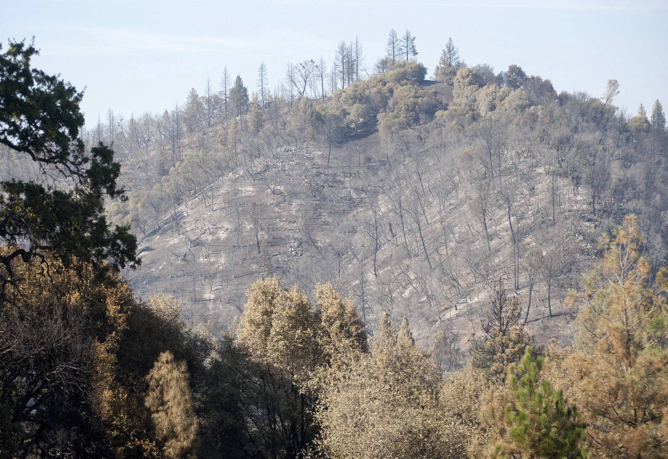 El fuego amenaza el Parque Nacional de Yosemite