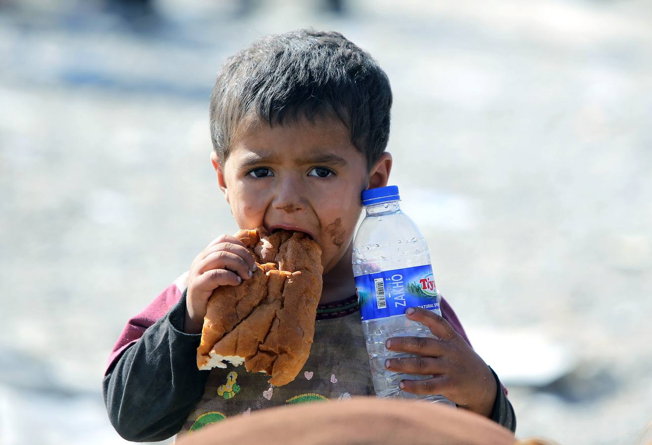 Refugiados en Irak. Un pequeño yazidi, en un campo de refugiados.