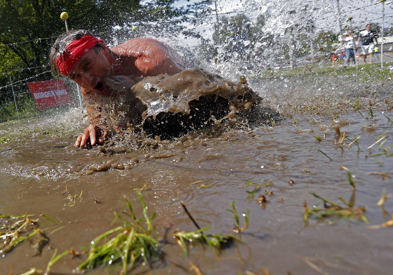 Contra todos los elementos