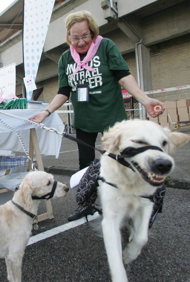 ¿Has estado en la marcha &#039;Gijón Solidario 2014&#039;? ¡Búscate! - Galería 4