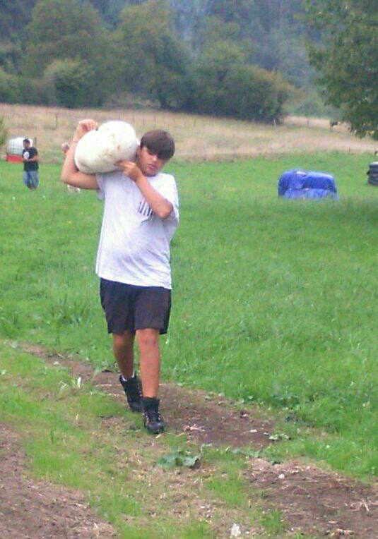 Encuentran en Gijón tres ejemplares gigantes de las setas &#039;Lycoperdon perlatum&#039;