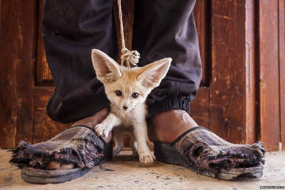 Premio en la categoría 'El Mundo en Nuestras Manos'