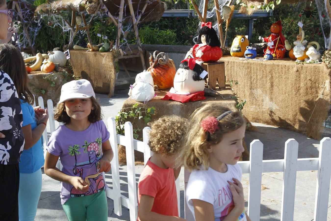 Calabazas en el Botánico