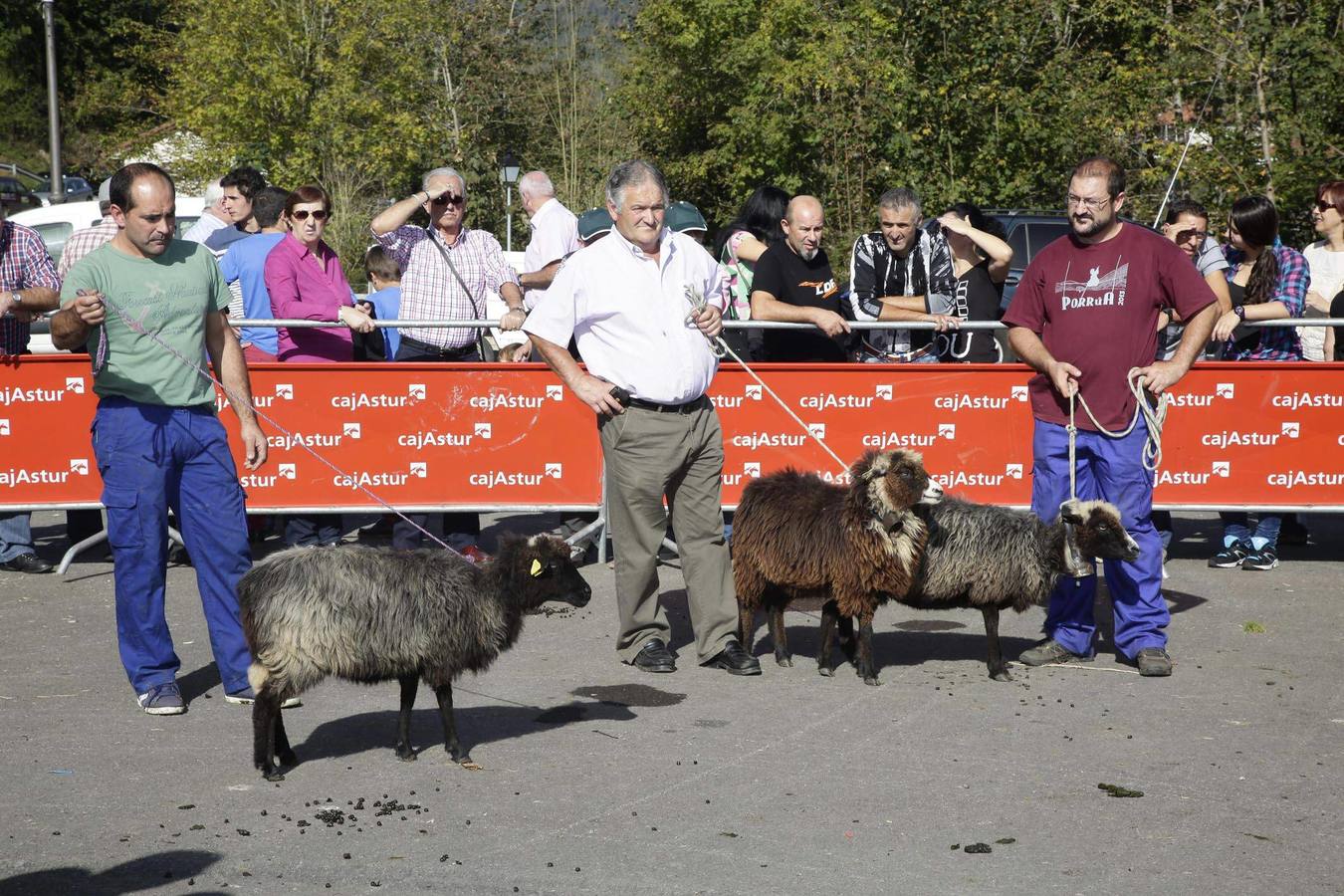 Un queso de Gamonéu de 1.900 euros