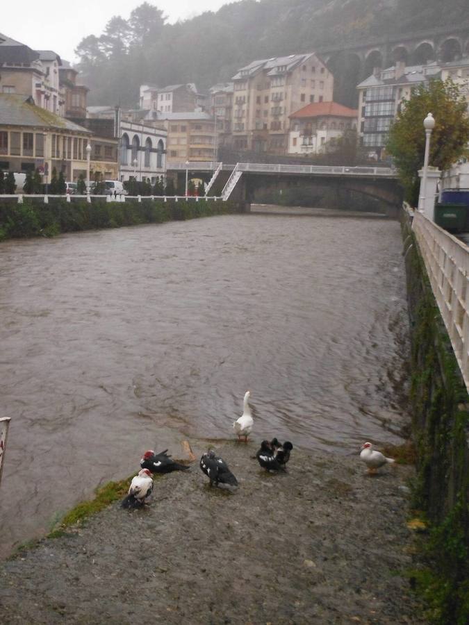 Los daños de las lluvias en el Occidente asturiano