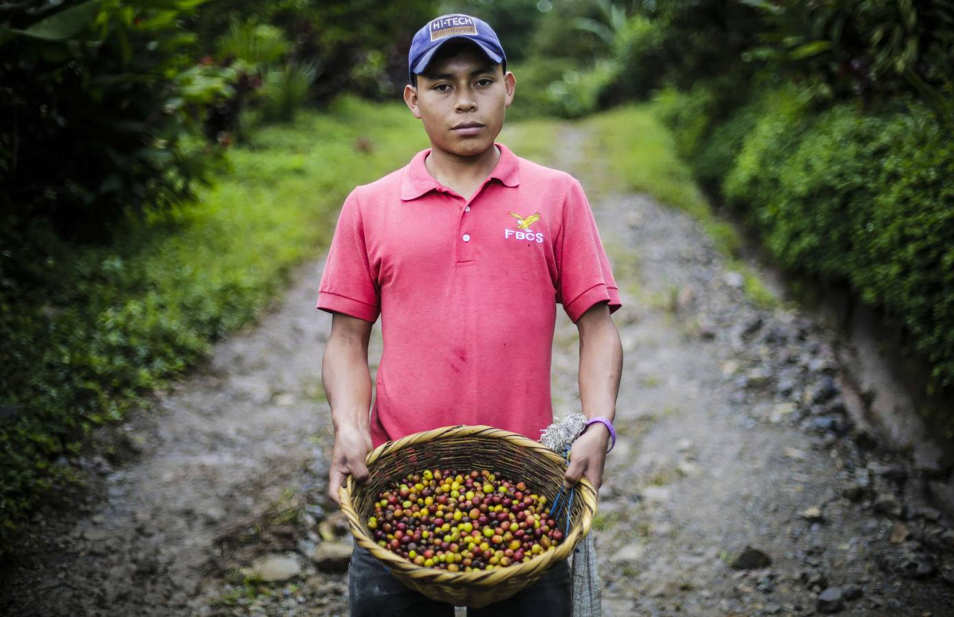 En los secaderos de café en Nicaragua