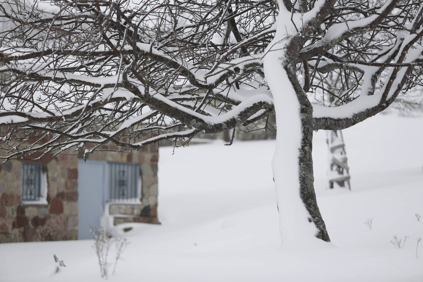 Asturias invernal