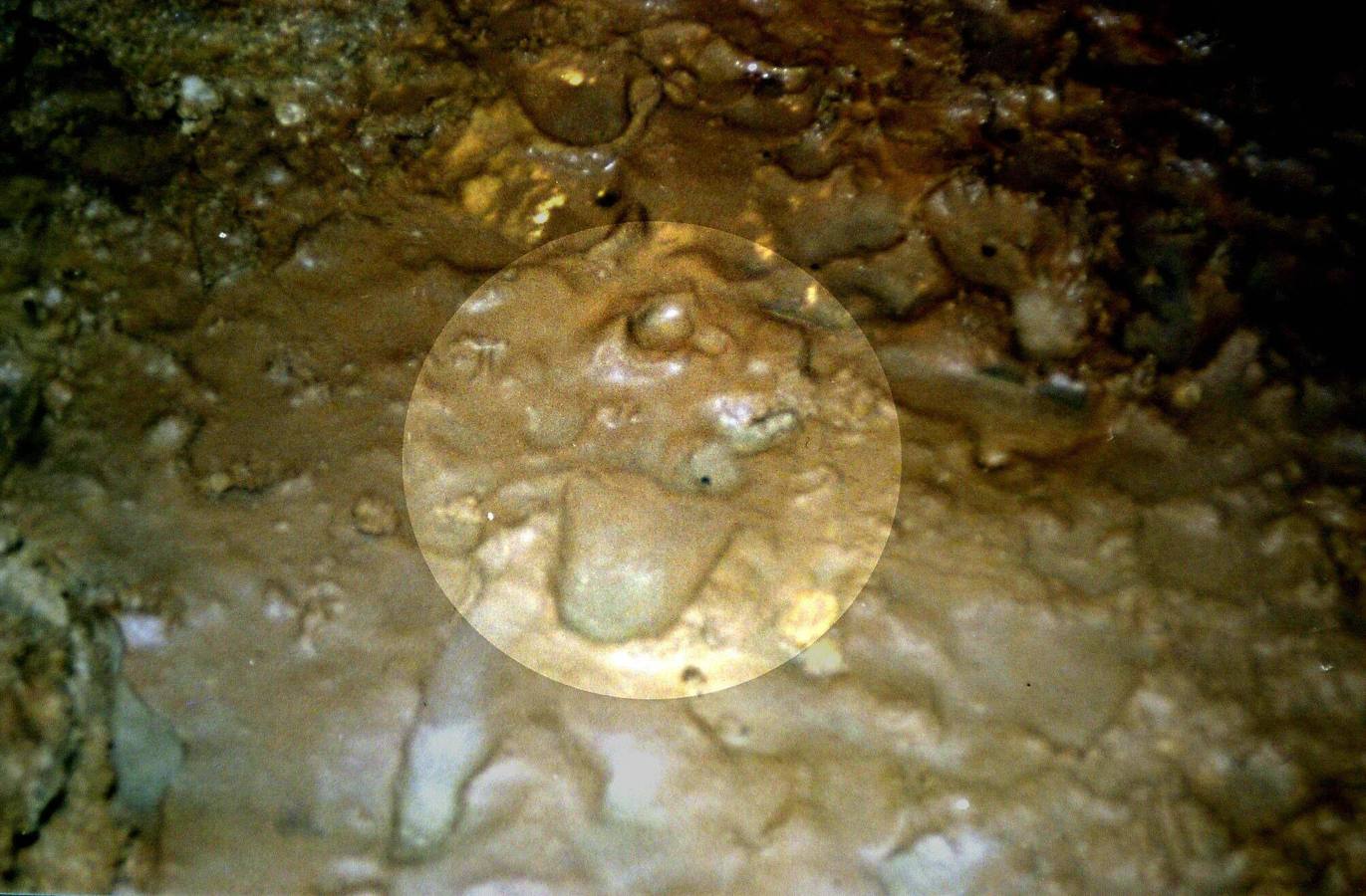 En el centro de la imagen, una de las tres huellas halladas en una cueva del concejo de Llanes, cerca de Bricia, puesta al descubierto por las voladuras efectuadas para la construcción de la Autovía del Cantábrico, que podrían datar del Paleolítico Superior.2001.